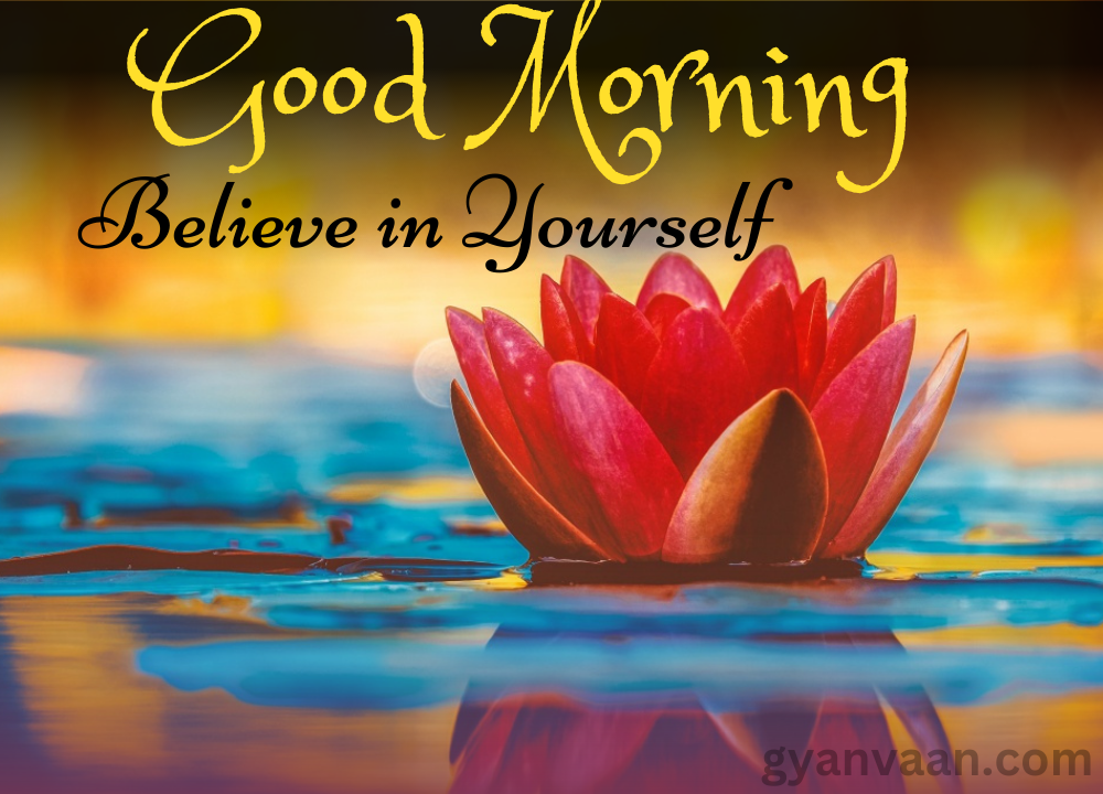 A Pink Lotus In The Pond With Beautiful Morning Message