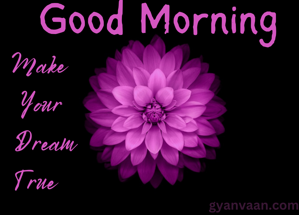 A Purple Flower And Black Background With Morning Wish