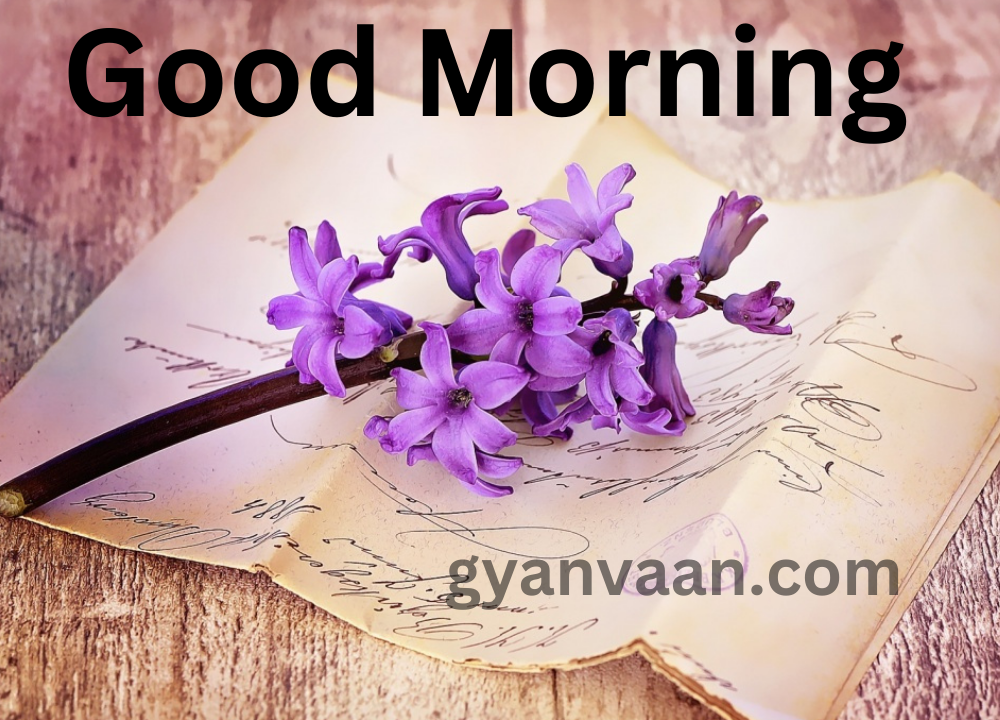 A Bunch Of Beautiful Violet Colored Flowers And Greeting Card Wishing You A Very Good Morning.