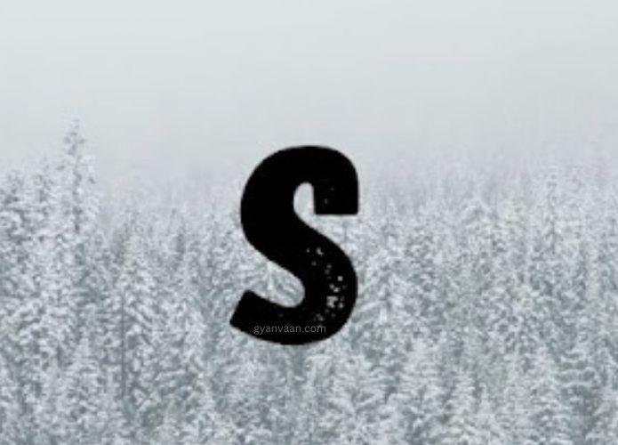 beautiful s name dp 8 - S Name DP