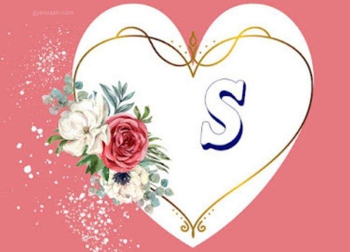 beautiful s name dp 9 - S Name DP