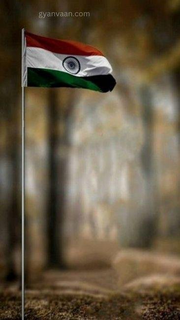 best indian flag dp 3 - tiranga image DP