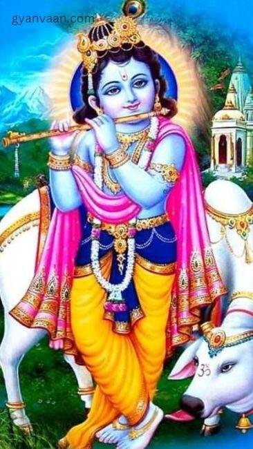 cute krishna images for DP 8 - krishna images for DP