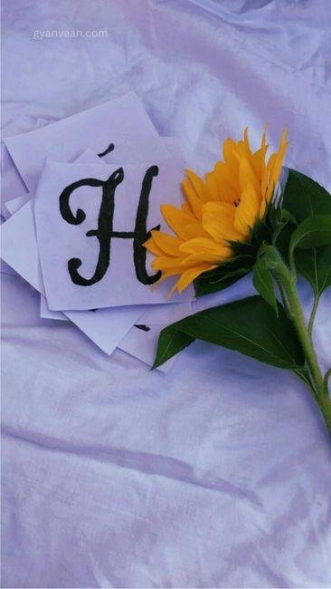 h letter dp 8 - h name dp