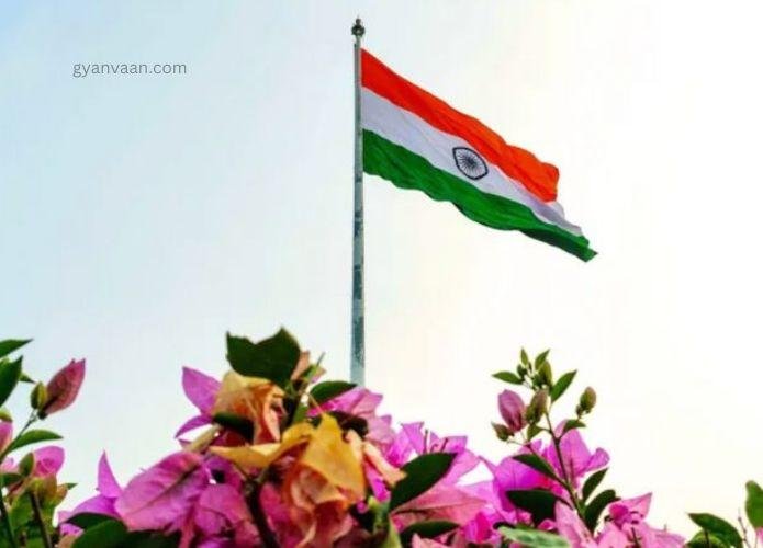 indian flag for dp 2 - tiranga image DP