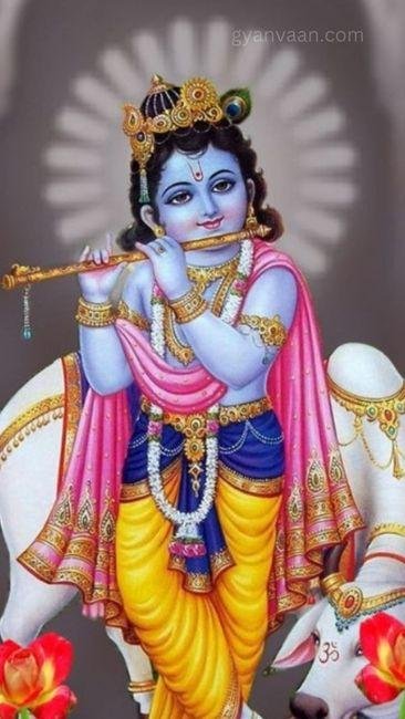 lord krishna images for whatsapp DP 1 - krishna images for DP