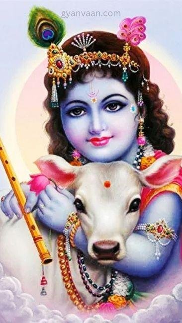 lord krishna images for whatsapp DP 5 - krishna images for DP