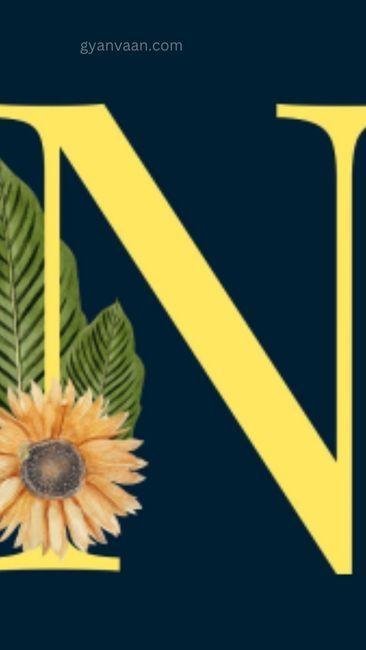 n name dp download 10 - n name dp