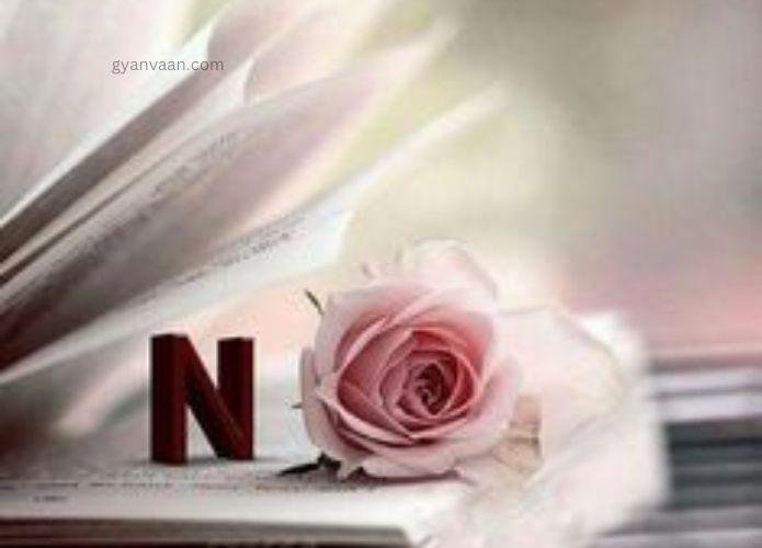 n name dp hd 9 - n name dp