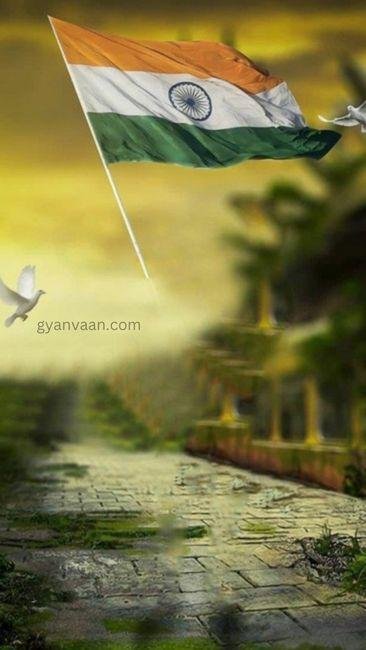 national flag dp 2 - tiranga image DP