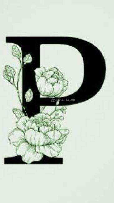 p images dp 10 - p name dp