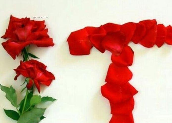 t DP image 4 - t name DP