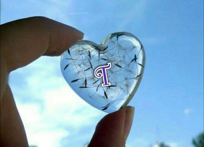 t DP photo 7 - t name DP