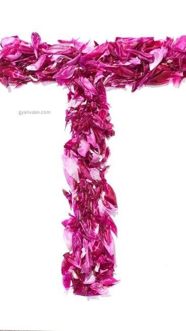 t DP photo 9 - t name DP