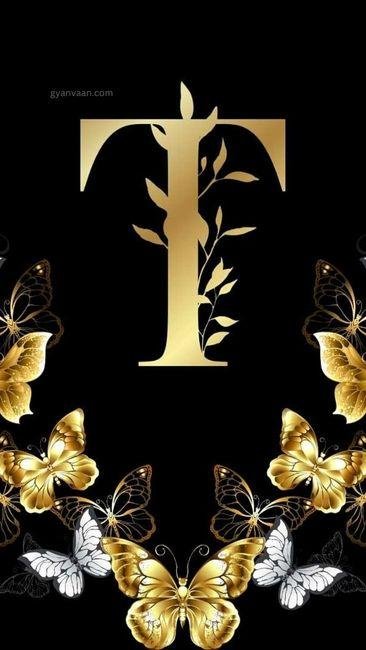 t images DP 7 - t name DP