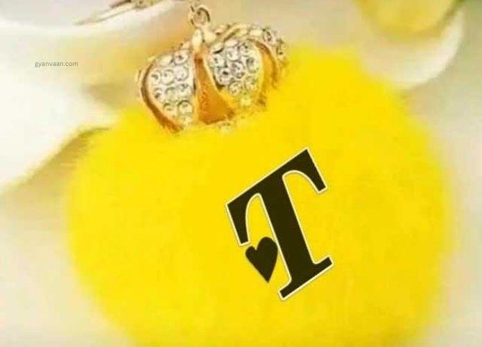 t letter images for WhatsApp DP 9 - t name DP