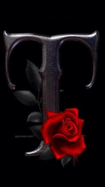 t name DP 10 - t name DP