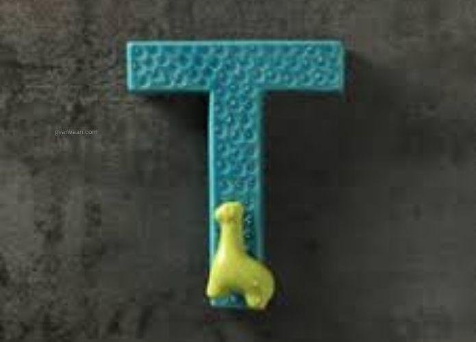 t name photo love DP 2 - t name DP