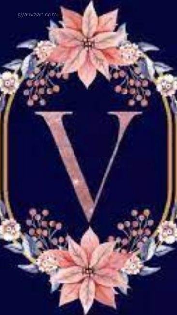 v dp for whatsapp 5 - v name dp