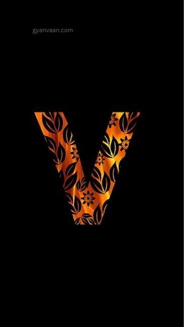 v dp photo 5 - v name dp