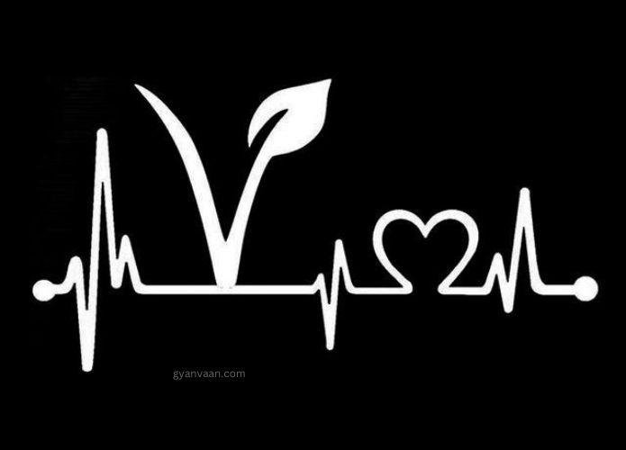 v letter dp for whatsapp 1 - v name dp