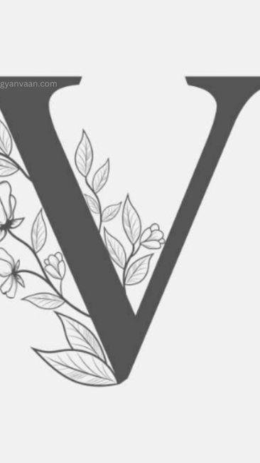 v letter dp for whatsapp 9 - v name dp