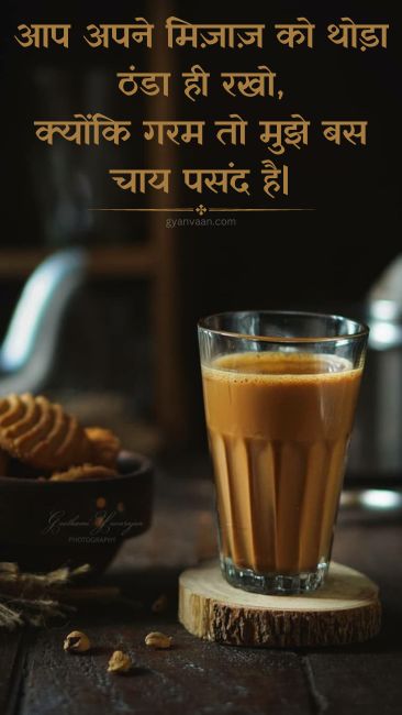 Best Chai Shayari and Quotes For Tea Lover | चाय शायरी 16 chai lover shayari