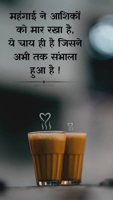 Best Chai Shayari and Quotes For Tea Lover | चाय शायरी 8 chai quotes in hindi