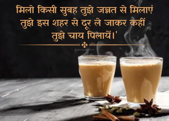 Best Chai Shayari and Quotes For Tea Lover | चाय शायरी 13 special tea shayari for lovers in hindi