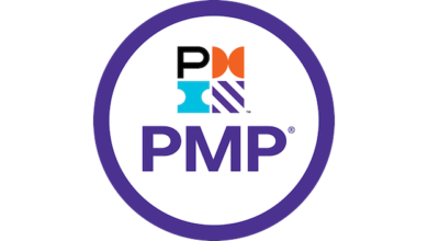 How To Understand PMP Milestones And How To Achieve Them