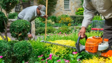 10 Ways of Landscape Maintenance to Enhancing the Beauty of Nature 9 Landscape Maintenance