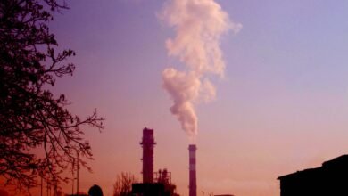How is Carbon Abatement Cost Affecting Global Climate Change?