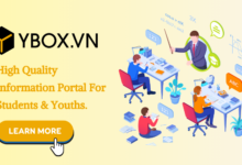 Unlock Your Potential: A Comprehensive Review of YBOX's Online Learning Platform 9 YBOX's Online Learning Platform